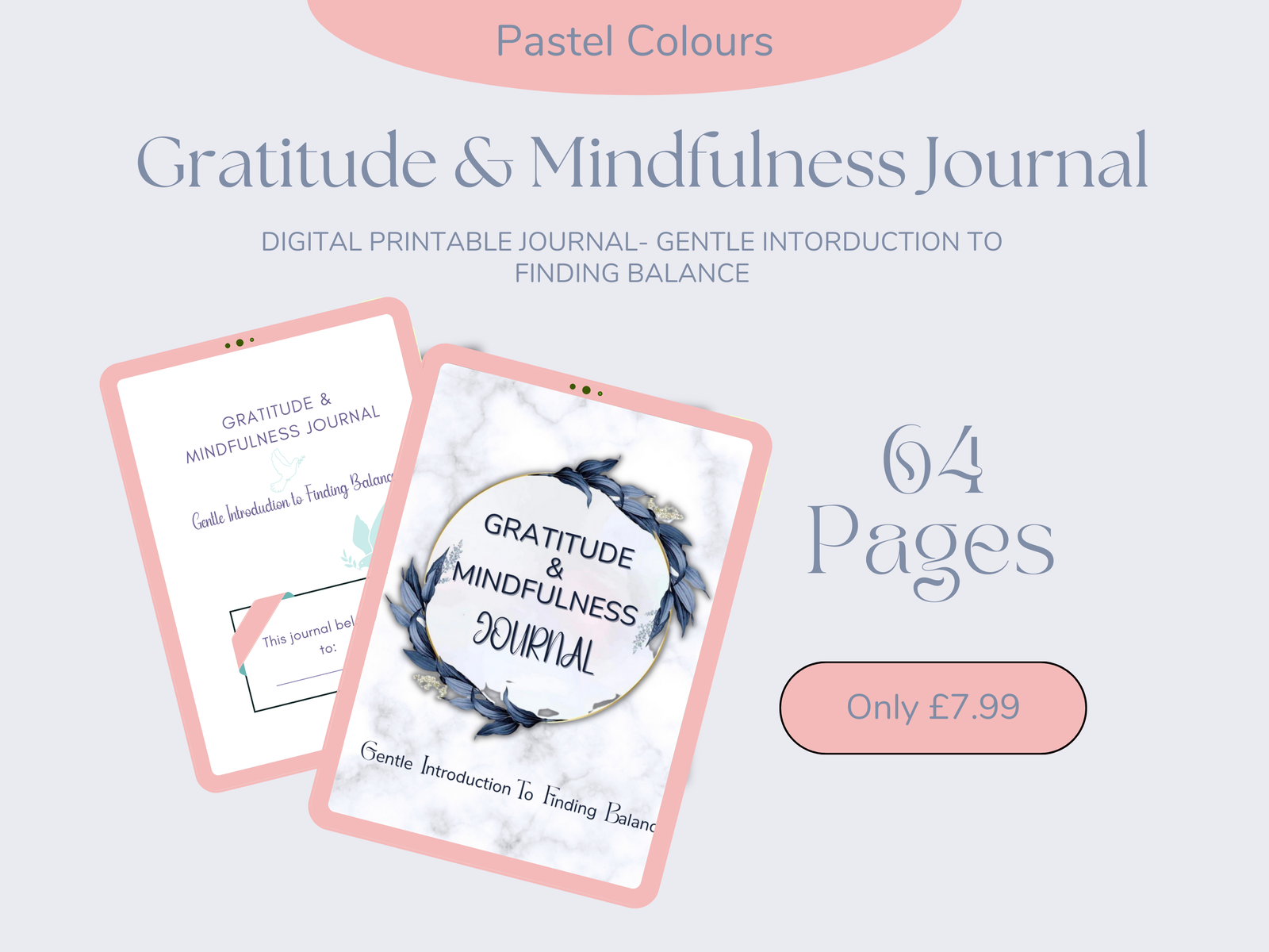 Gratitude and Mindfulness Journal: Gentle Introduction to Finding Balance